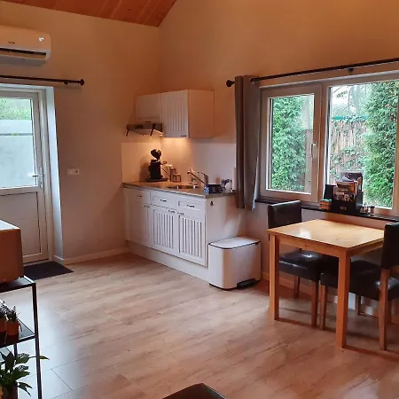 Stay America America