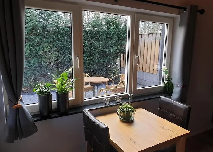 Stay America Daire America