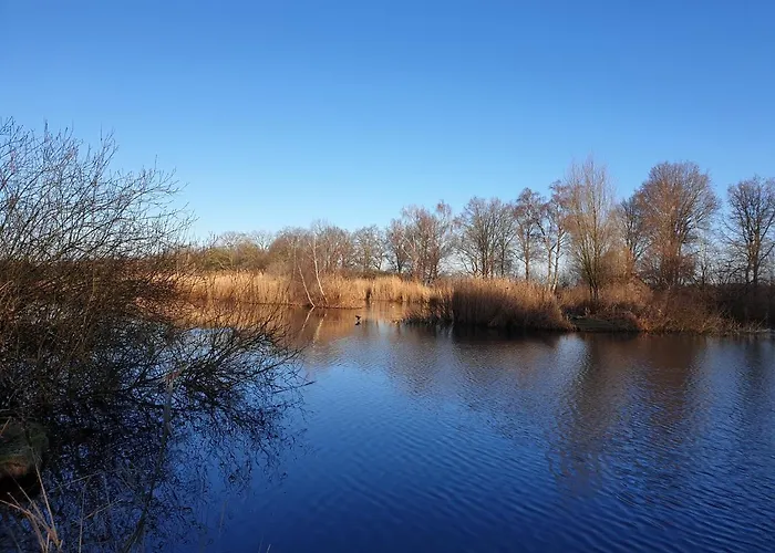 Stay America Daire America