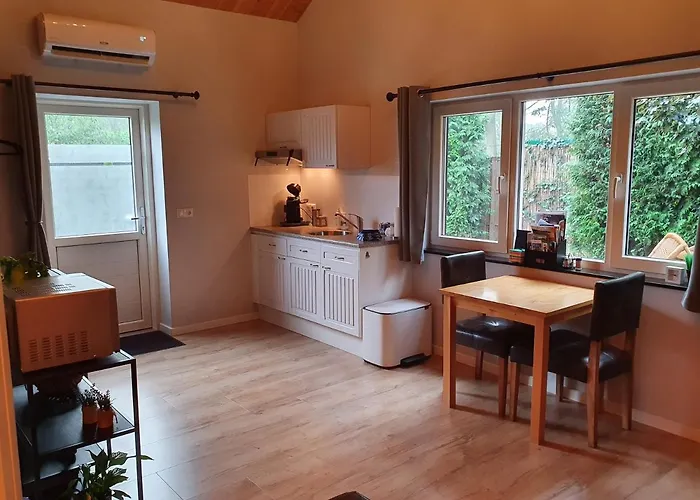 Stay America America